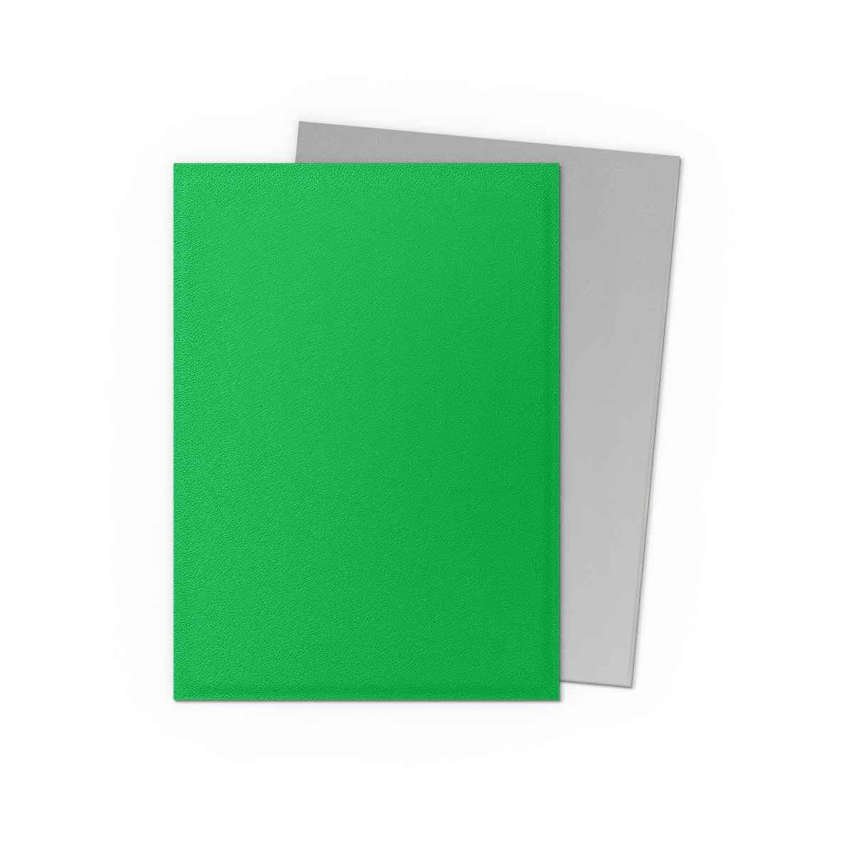Dragon Shield Sleeves – Dual Matte Apple Green & Silver (100 stuks)